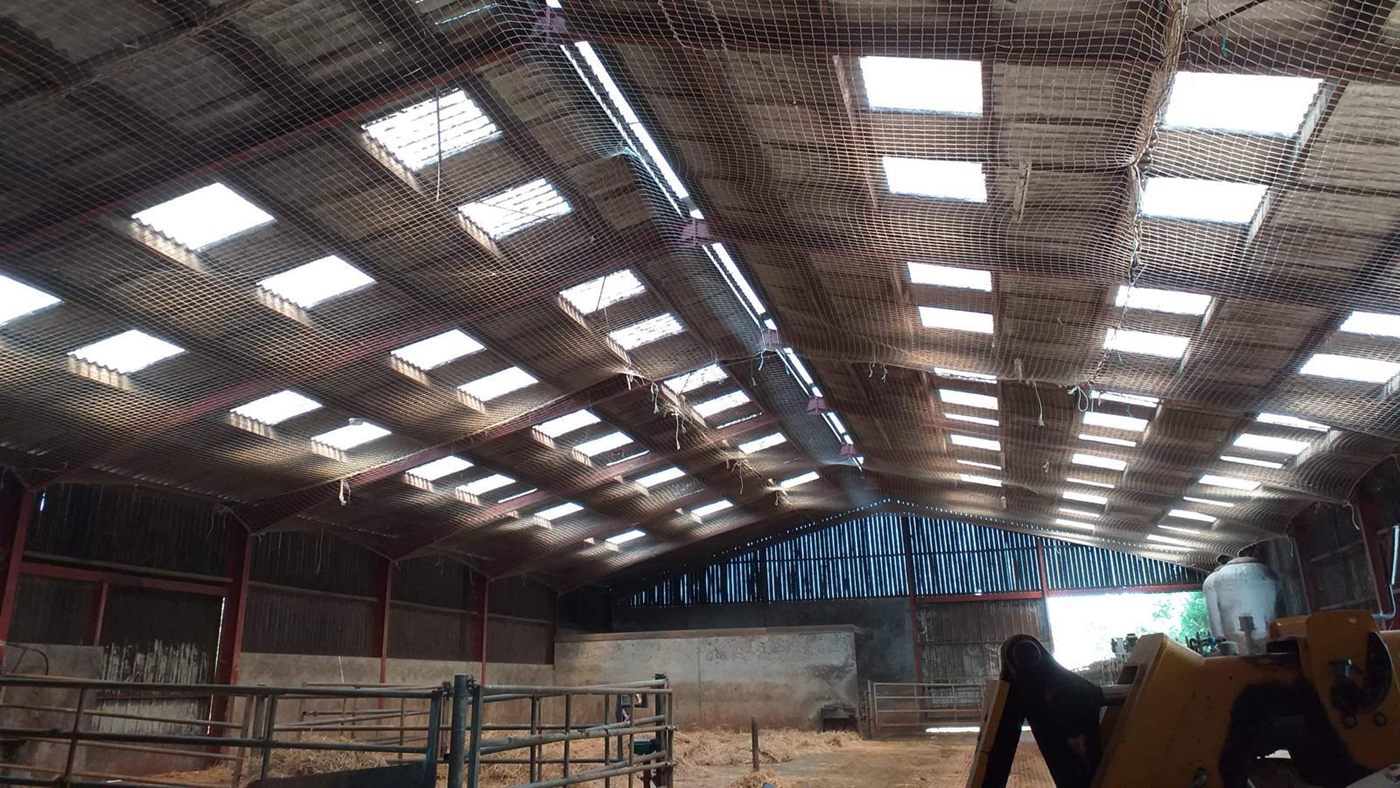 Bâtiment agricole en activité, filet simple sur toute la portée